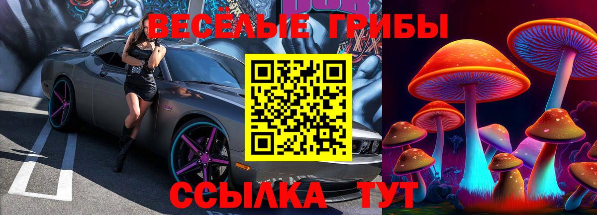 Псилоцибиновые грибы мицелий  Вход с VPN  Псилоцибиновые грибы Magic Shrooms  Черемхово 